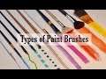 Types of Paint Brushes by Paintastic Arts (Chapter 1)