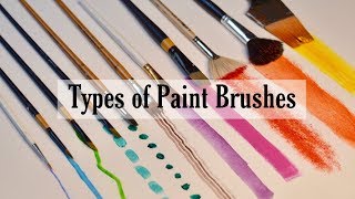 Types of Paint Brushes by Paintastic Arts (Chapter 1) screenshot 3