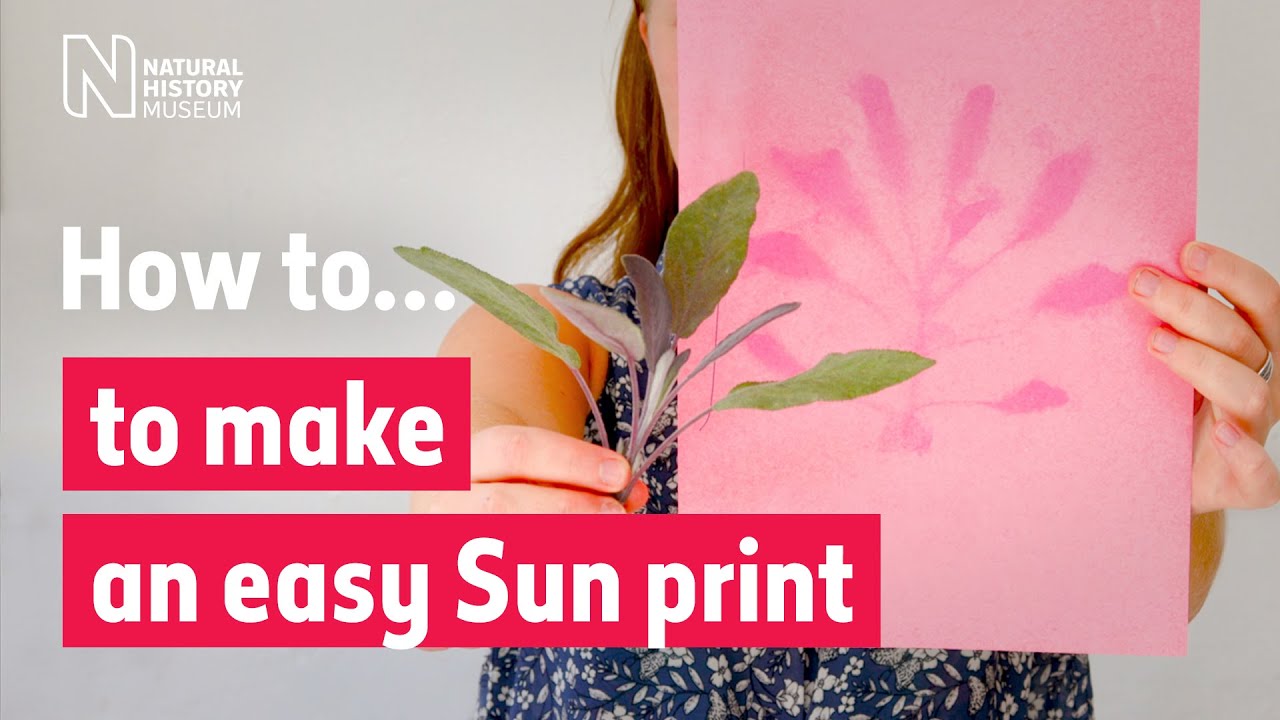 Cyanotype Kit, Solar Printing With Plants, Ferns, Flowers