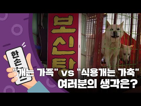 [15초 뉴스] &quot;개는 가족&quot; vs. &quot;식용개는 괜찮아&quot;...여러분의 생각은? / YTN