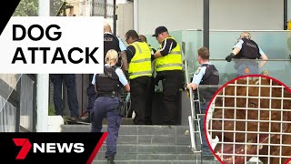 Police forced to taser pitbull in horrific dog attack | 7 News Australia