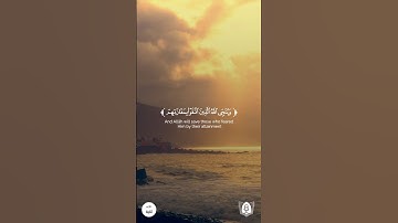 #تلاوة من #سورة_الزمر بصوت #يونس_اسويلص #قرآن #قرآن_كريم #آيات #استغفرالله #الحمدلله #quran
