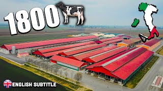 BIG DAIRY FARM XL 🇮🇹 Il passe de 900 à 1800 Vaches 🐄💨