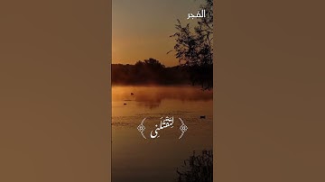 سورة المائدة | الشيخ سيد سعيد | تلاوة رائعة ❤️