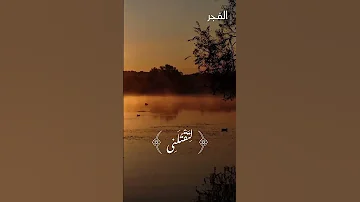سورة المائدة الشيخ سيد سعيد تلاوة رائعة 