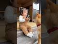 返せコラァwwww #ai #犬 #shorts