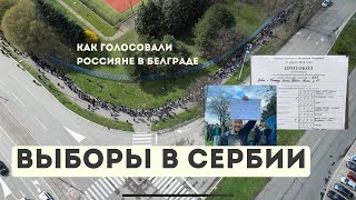 Выборы 2024 в Белграде | Вот это поворот: Путин набрал 10,8% | Очередь с дрона