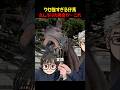 成長しても中身そのままなお馬さんがこちらですw