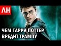 ЧЕМ ГАРРИ ПОТТЕР ВРЕДИТ ТРАМПУ и другие Любопытные Новости #3