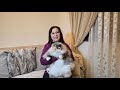 Кормлю Израильских уличных котиков, а так же- восходящая звезда ютуба-кошка ПУУУПААА😅😺
