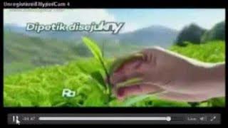 Download lagu Iklan Teh Rio   Teh Berkualitas Di dunia