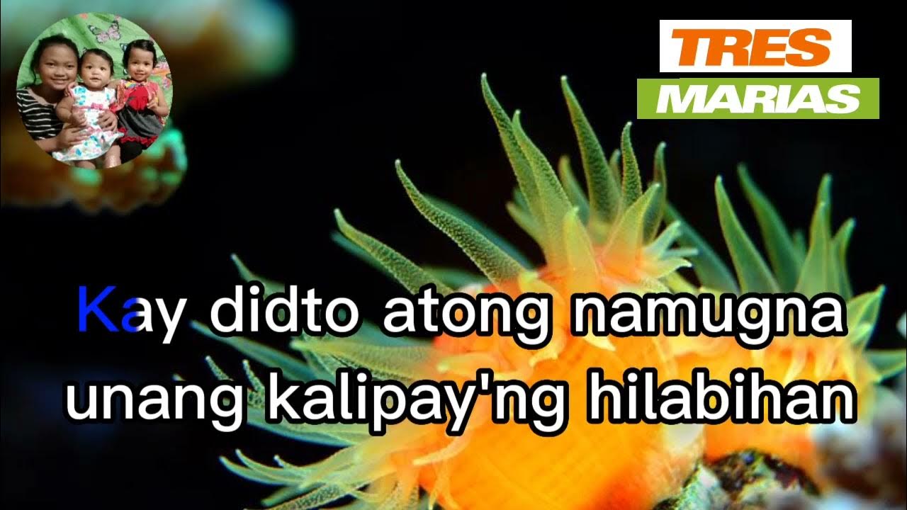 BISAYA KARAOKE SONG WITH LYRICS LAGKAW VIDEO K SONGS YouTube