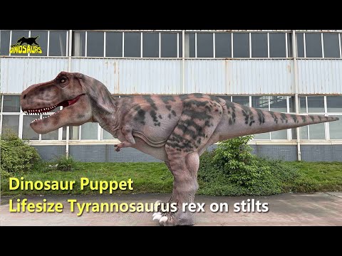 Life-size Tyrannosaurus Rex
