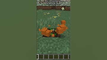 #minecraft #logic #short #video