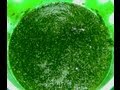 Cilantro Chutney Recipe (Green Chutney)