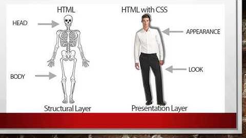 Pergunte para o Professor #4 Semântica e HTML5