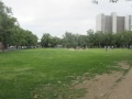Clayton Reserve Fenced Dog Park (North Melbourne) Clayton Reserve Fenced Dog Park (North Melbourne)