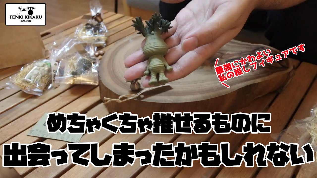 【多肉植物/塊根植物】#132 - めちゃくちゃ推せるフィギュアに出会いました【B-The-U】