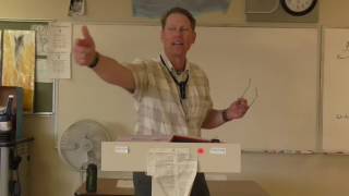 Steinbecks Turtle, B
