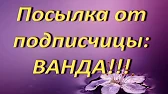 Орхидеи,узамба́рские фиалки,Самара🌺
