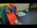 DogSense Academy Week 2 DogSense Academy Week 2