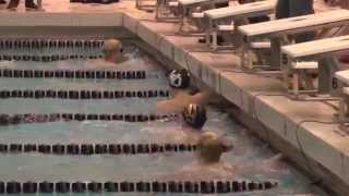 Holland West Ottawa vs. Hamilton - 2014 Boys Swimming Highlights on Sideline Review