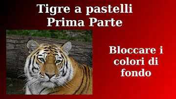 Chi è più forte tra il leone e la tigre?
