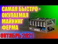 Лучшая майнинг ферма на октябрь 2021 года из МАГАЗИНА | Собираем актуальную майнинг ферму