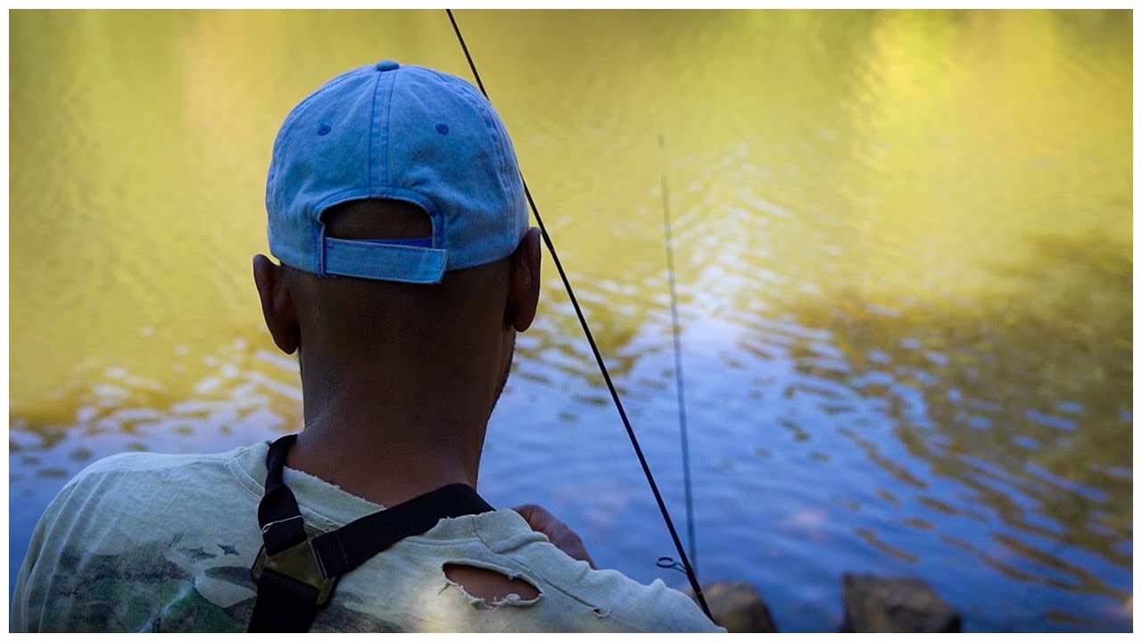 Fishing the TN River (Still Failing) - YouTube