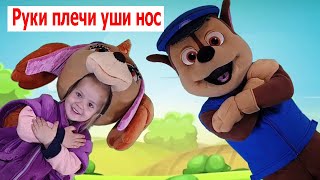 Руки, плечи, уши, нос | Игротанец | Детские песни | Танцы для детей