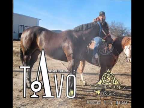 Manuel Ortiz : Tavo Armendariz composiciones personalizadas 2023
