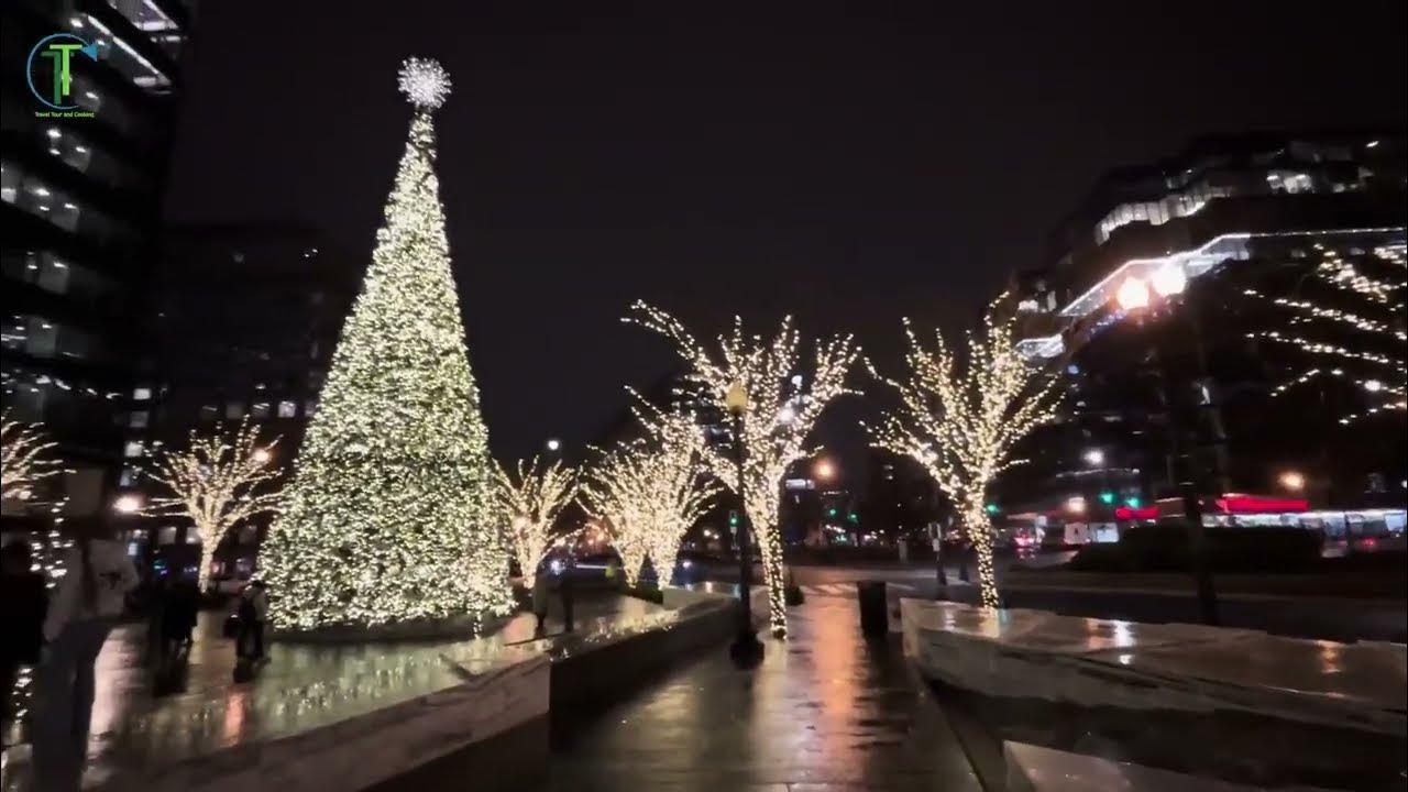 Washington DC Christmas Lights Tour 🎄 YouTube