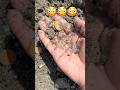 Oh my God #treasuresearch #golddiscovery