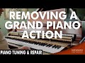 Piano Tuning & Repair - Removing a Grand Piano Action