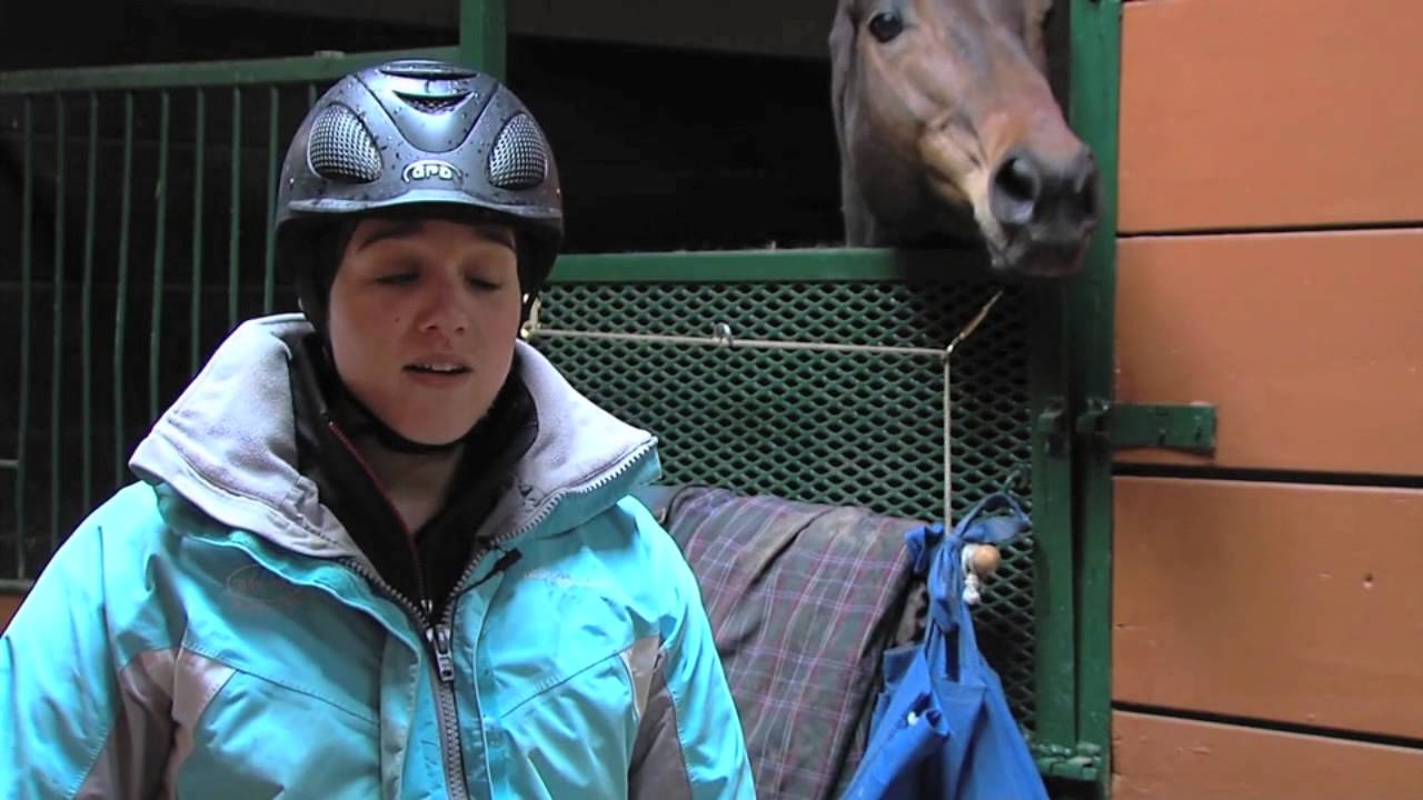 Jamaica Bay Horse Riding Academy (For Your Island) YouTube