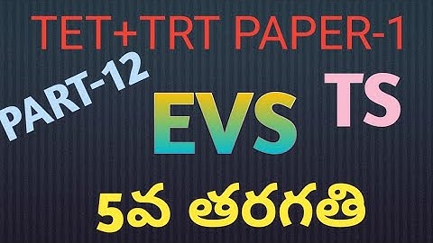 TS Tet+TRT EVS important bits for paper-1#AK Vlogs#