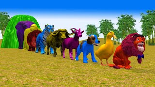 Paint & Animals Duck,Gorilla,Lion,Elephant,Cow,Sheep Fountain Crossing Transformation Animal Cartoon