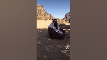 دحيم الحماد 1443ه تلاوة مميزة من سورة الذاريات
