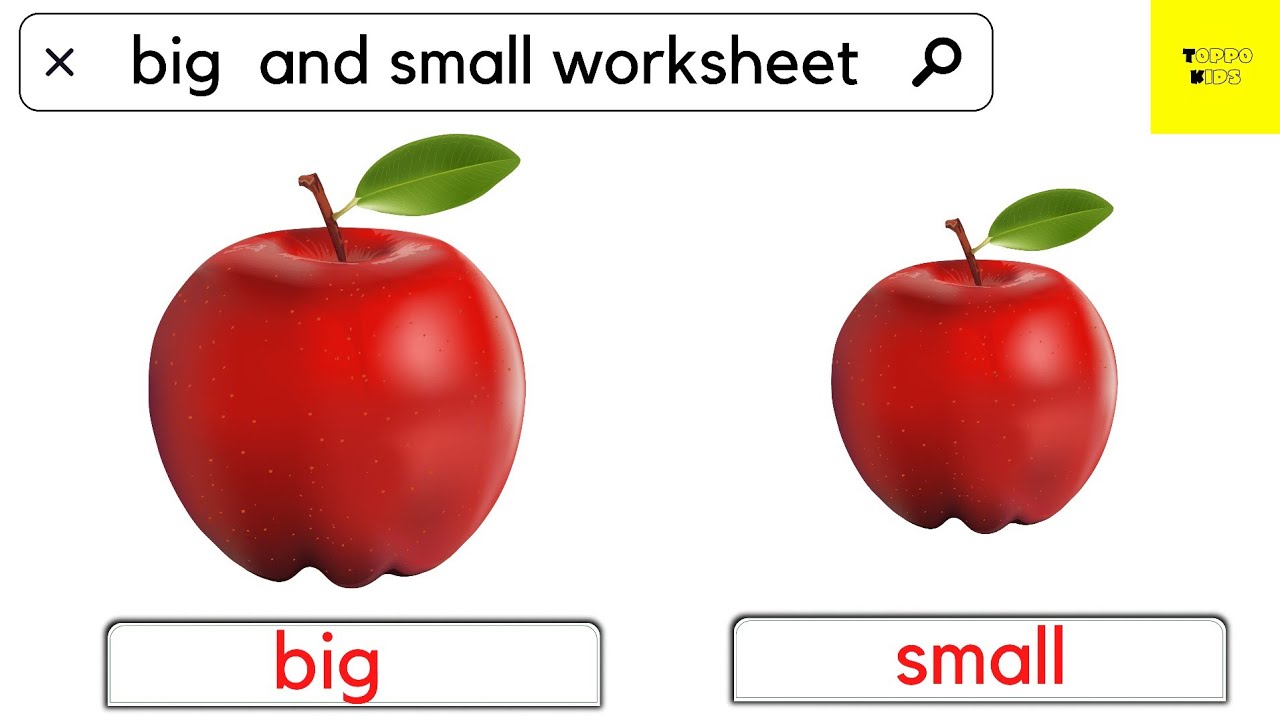 Big and small worksheet
