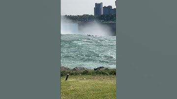 Thumbnail of Poor deer fell down Niagara Falls😔 The detailed video on my channel