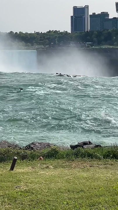 Poor deer fell down Niagara Falls😔 The detailed video on my channel