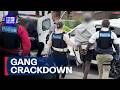 Victorian Police reveal major crackdown on notorious youth crime gang | 9 News Australia