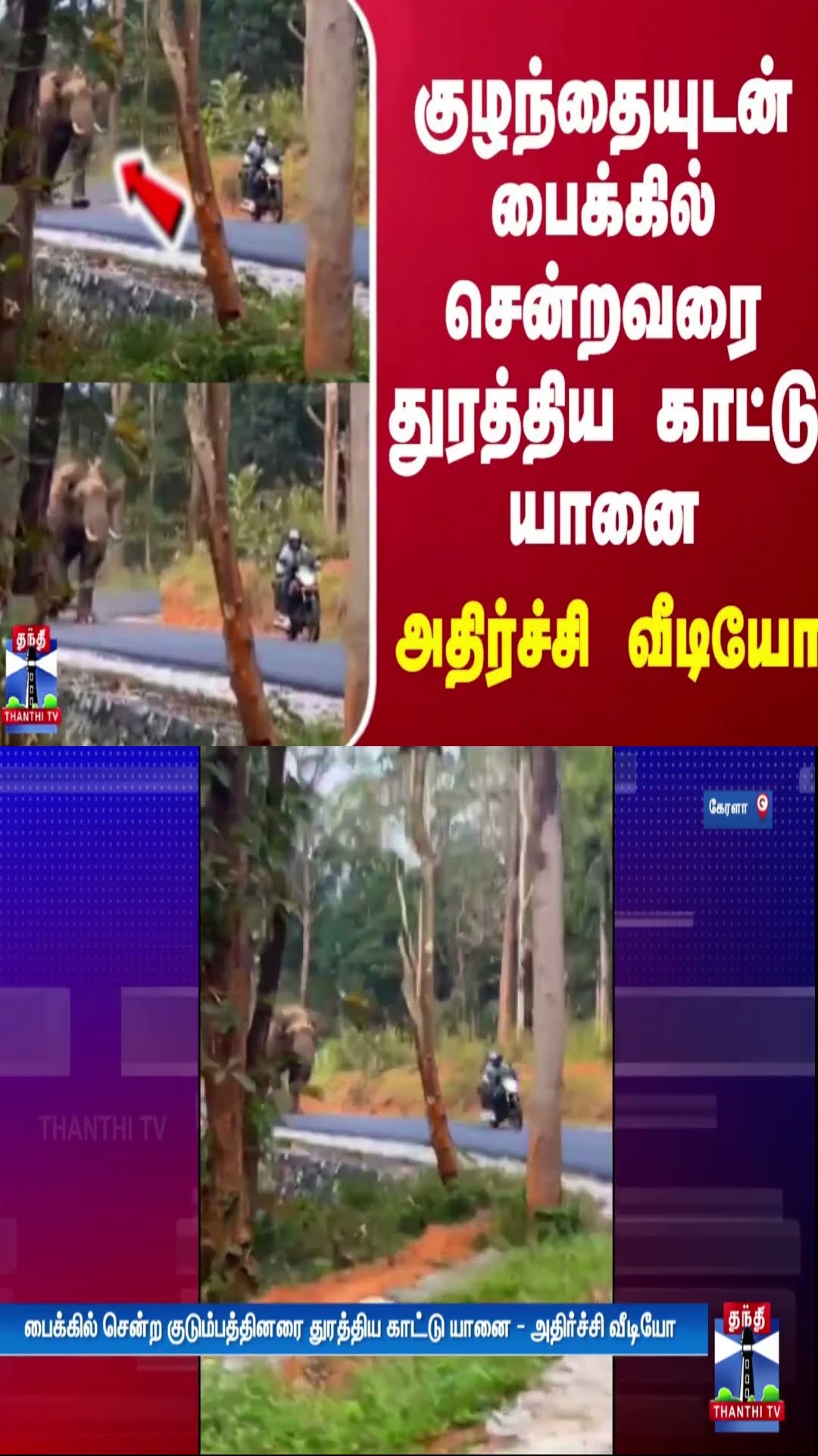 குழந்தையுடன் பைக்கில் சென்றவரை துரத்திய காட்டு யானை - அதிர்ச்சி வீடியோ