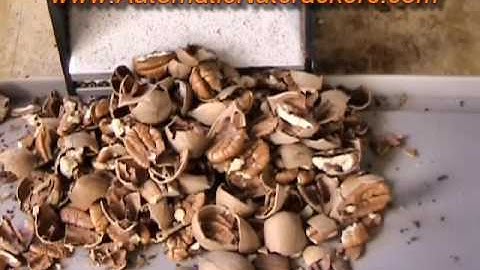 Heavy Duty Deluxe Automatic Nutcracker. Pecans cracking, fast crack nuts www.automaticnutrackers.com