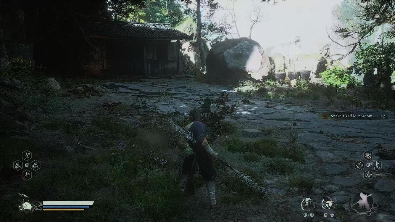 Black Myth: Wukong fungiewoman Pluckofmany is OP leveled up