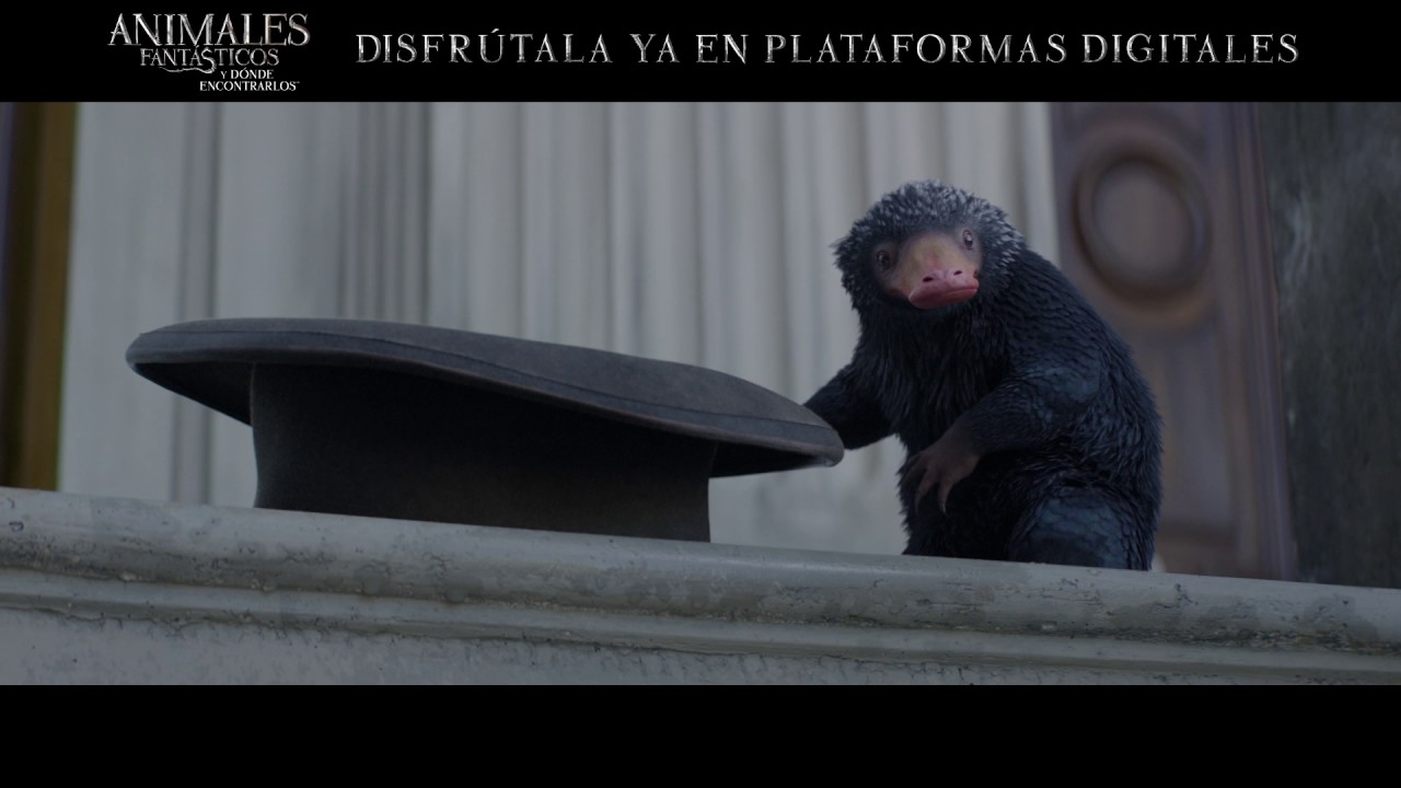 Animales Fantásticos y Dónde Encontrarlos - Spot "Historia 