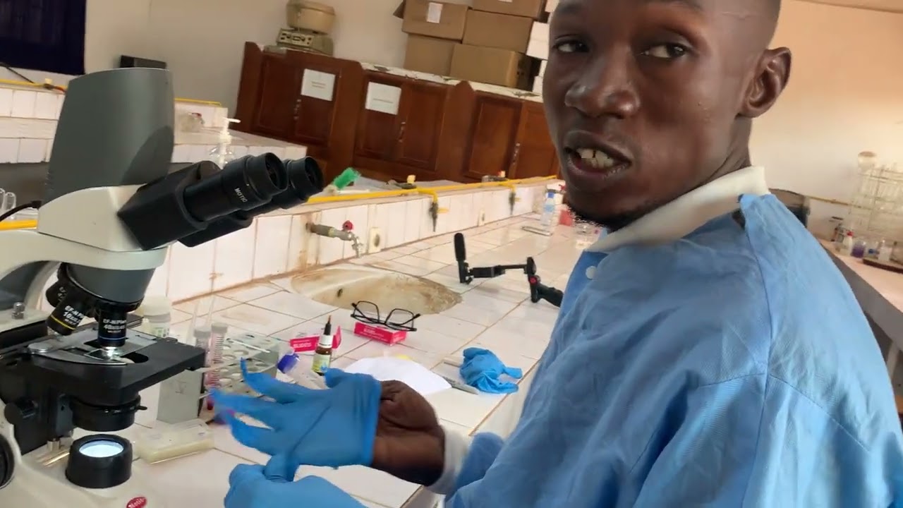 Technique du spermogramme et spermocytogramme