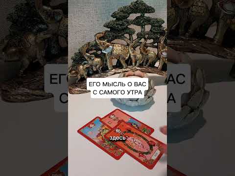 ЕГО МЫСЛЬ О ВАС С САМОГО УТРА?