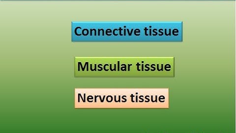 Std 9: Introduction to Biotechnology Part 2