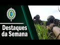 Destaques da Semana - 16 a 21 de novembro